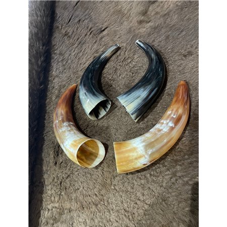 Polished Cow Horn