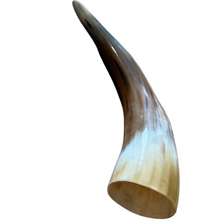 Polished Cow Horn