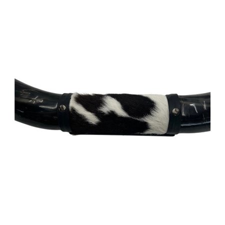 Mounted Polished Cow Horn