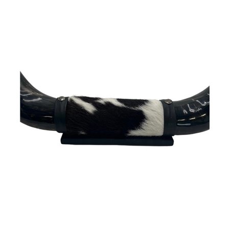 Mounted Polished Cow Horn