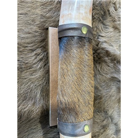 Mounted Polished Cow Horn