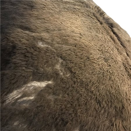 Bison/Buffalo Hair-On Second Grade Hide Large