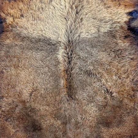 Bison/Buffalo Hair-On First Grade Hide | Premium Quality Leather