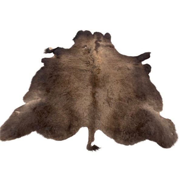 Bison/Buffalo Hair-On Hide, Large Winter Coat, Second Grade