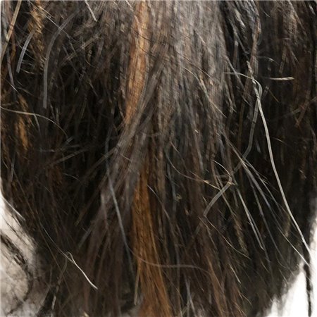 Horse Tail Hair Dark Brown Natural